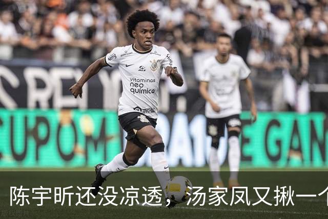 陈宇昕还没凉透，汤家凤又揪一个“精日”人员：竟然还是公司老板