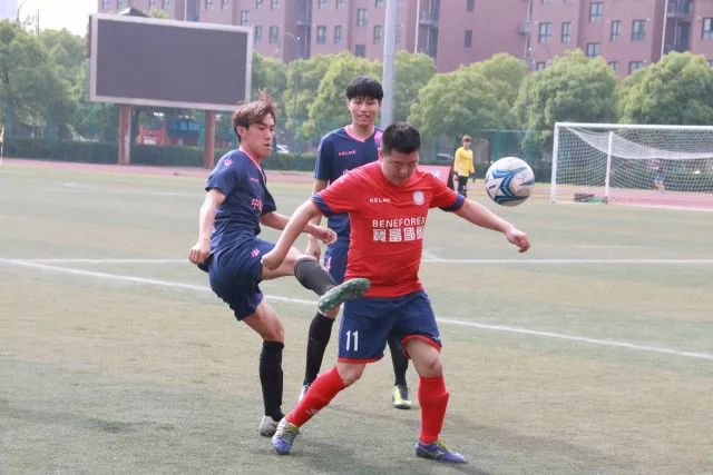 最新民调陈亭妃史诗级领先谢龙介，郑丽文竟成谢龙介最大绊脚石？